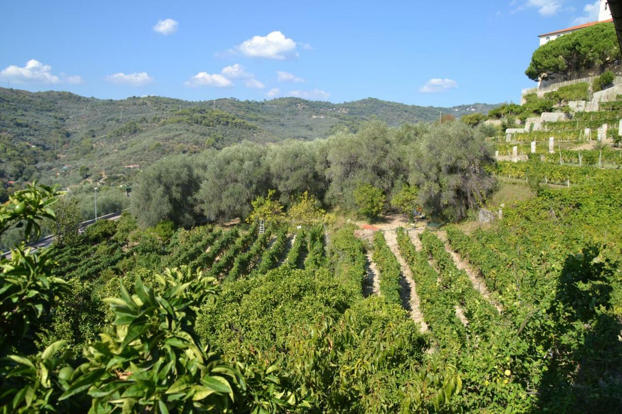 La Casa Del Prussiano Διαμέρισμα Diano Castello Εξωτερικό φωτογραφία
